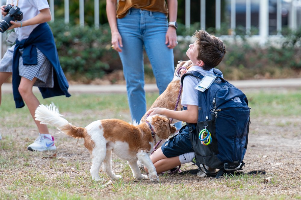 Blessing of the Pets
